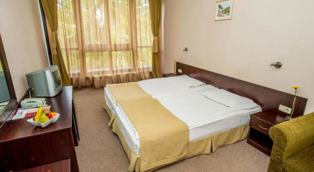 Номер Standard Snezhanka Hotel Pamporovo- All inclusive & Swimming pool