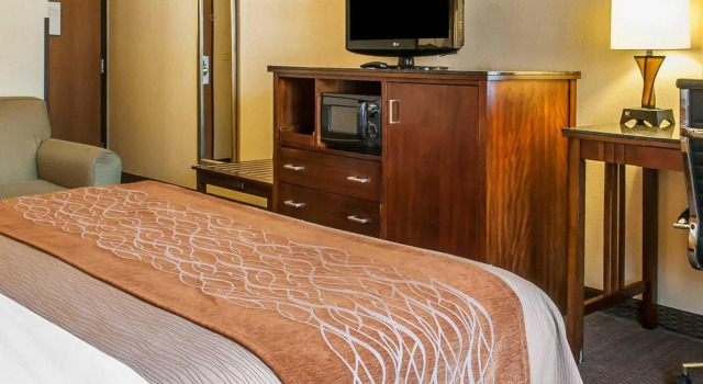 Номер Standard c 1 комнатой Comfort Inn & Suites Midtown