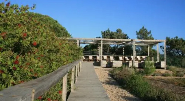 Casas das Amoreiras