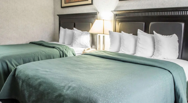 Люкс Business Quality Inn & Suites Gibsonia - Pittsburgh North