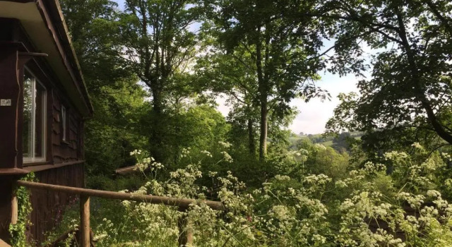 Feriehus Churchwood Valley