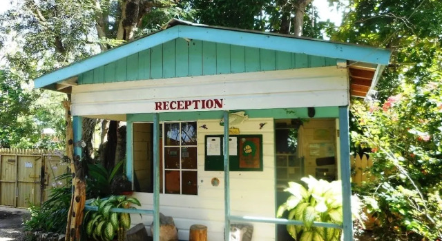 Banana Shout Resort, Rezervovat Lázně / Resort Negril Westmoreland