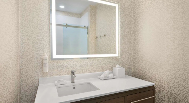 Четырёхместный люкс Home2 Suites By Hilton Round Rock Medical Center