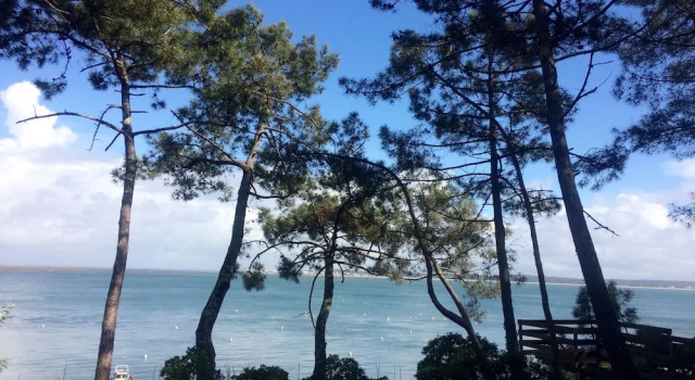 Demeure du Siecle, Rezervați Hotel Lege-Cap-Ferret Cap Ferret Peninsula