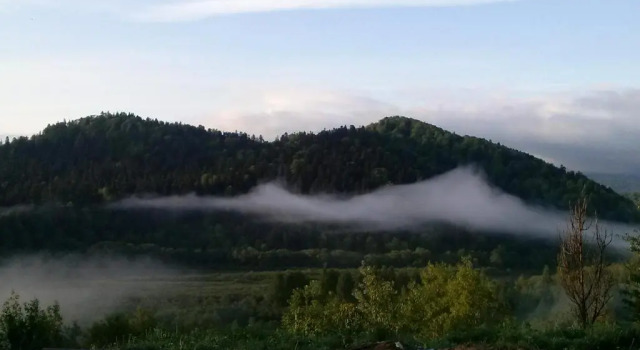 Номер Standard с балконом Brzozowe Wzgórze