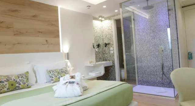Двухместный номер Deluxe Astrea Wellness & Spa