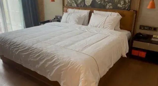Люкс Guangzhou Four Seasons Countryside spas Resort