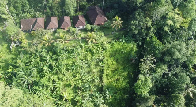 Geria Semalung, Reservar Hotel Ababi Indonésia