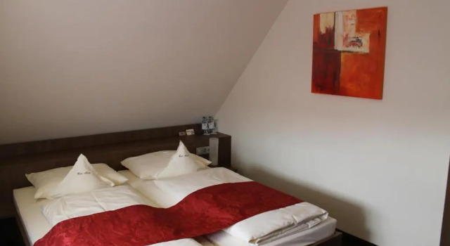 Двухместный номер Standard Hotel Schwanen