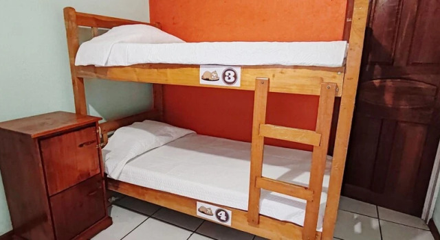 Кровать в общем номере с видом на сад Monteverde Coati & Sloth Studios Apartaments Hotel