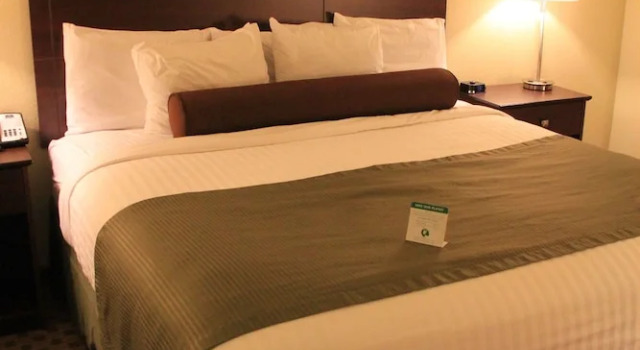Standard- Enkelt værelse Castle Rock Inn & Suites