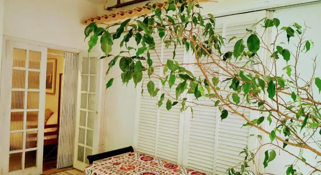 Двухместный номер Standard с балконом и с красивым видом из окна Casa Beludi