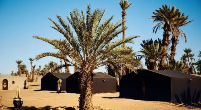 Тент Camp Sahara Nights