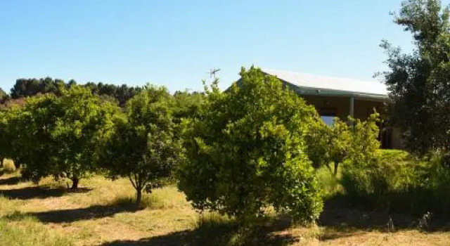 Swan Valley Sisters, Reserva ahora Hotel Perth Perth Region