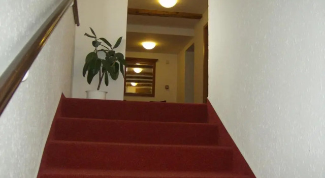 Одноместный номер Standard Hotel Maria