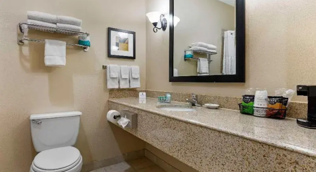 Четырёхместный номер Standard Best Western Franklin Town Center Hotel & Suites