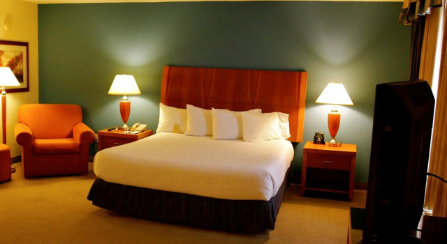 Двухместный номер Deluxe Hilton Garden Inn Albany