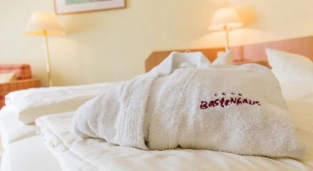 Двухместный номер Comfort Hotel - Restaurant Bastenhaus
