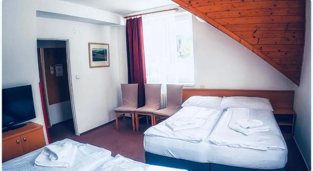 Четырёхместный номер Standard Hotel Harrachov Inn