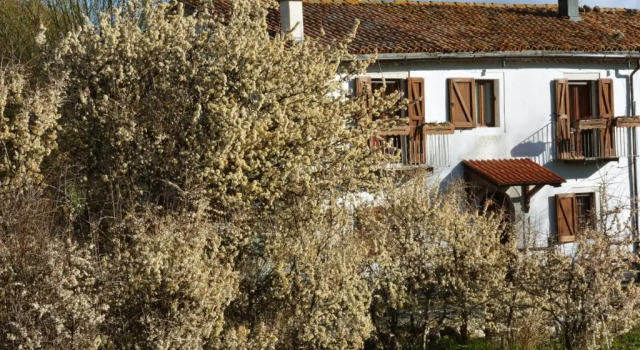 Masseria Cerasella, Забронировать Отель Отели Пескокостанцо с парковкой, Парковка