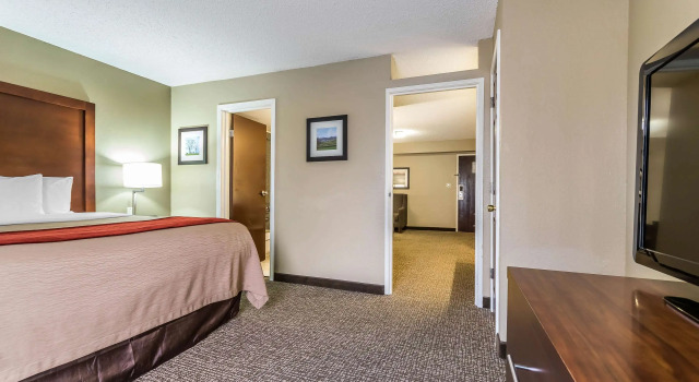 Двухместный люкс Comfort Inn & Suites Lexington - Hamburg I-75
