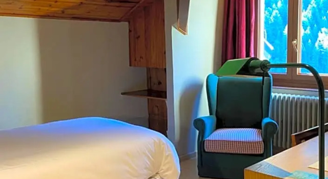 Одноместный номер Standard Hotel Manantial- Balneari Caldes de Boi
