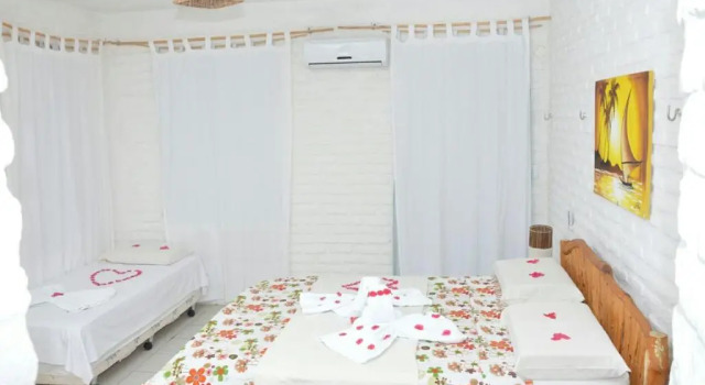 Люкс Standard Butterfly House