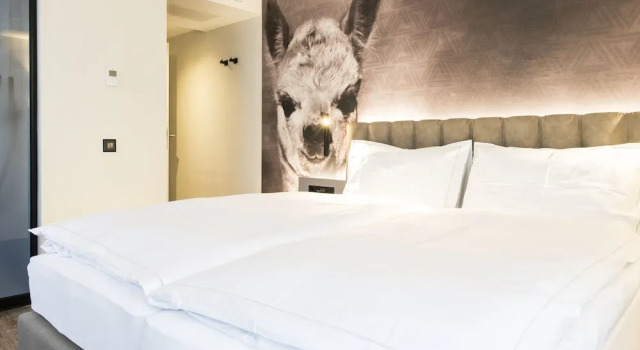 Номер Deluxe Adaastra Boutique Hotel