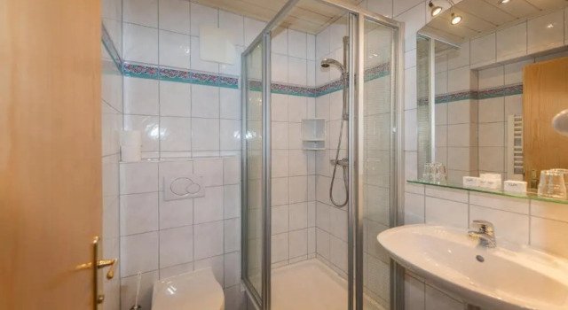 Двухместный номер Standard с балконом Blasbichlerhof