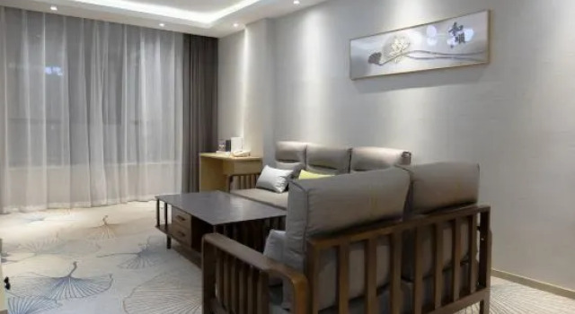 Люкс Deluxe Airport Huahai Hotel (Lanzhou New District Zhongchuan Airport Branch)