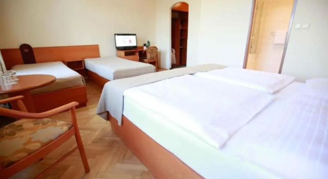 Camera quadrupla Standard Hotel Merkur - Czech Leading Hotels