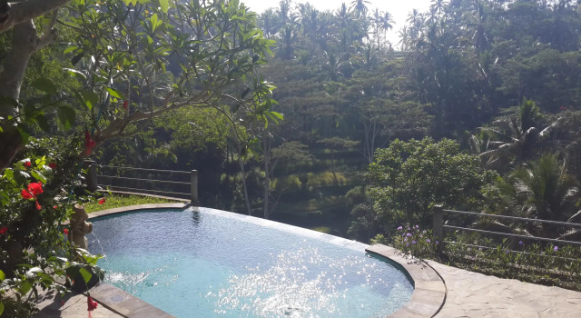 Wedang Villa, Rezervovat Vila Hotely v Bali se snídaní, Snídaně
