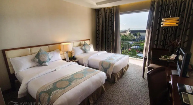 Двухместный номер Deluxe The Avenue Plaza Hotel