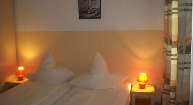 Двухместный номер Standard Hotel zur Donau