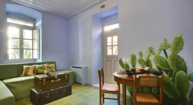 Cactus Hydra - Art Apartments