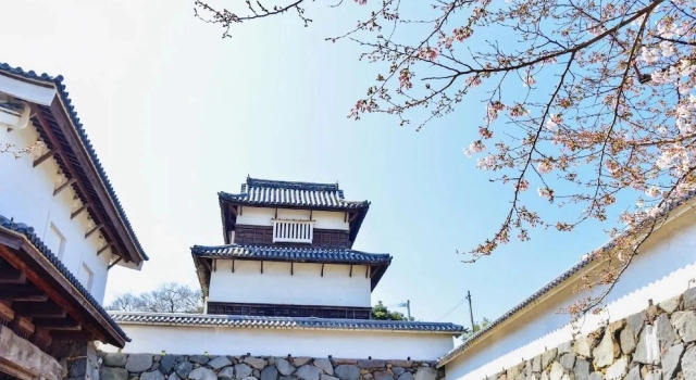 vida hakata, Prenota Appartamento Fukuoka Fukuoka