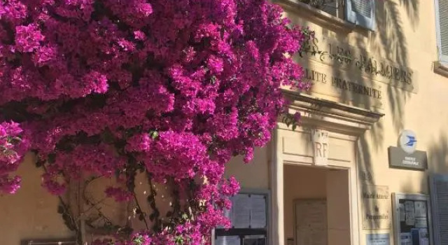 T2 à 2 minutes de la plage, Réserver Appartement La Londe-les-Maures Var coast