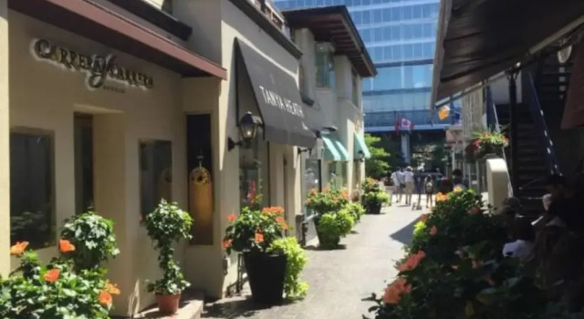 Central Toronto 2 Bedroom Flat, Varaa Hotelli Toronto 