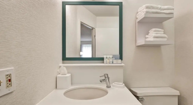 Номер Standard Hampton Inn Columbia-I-26 Airport
