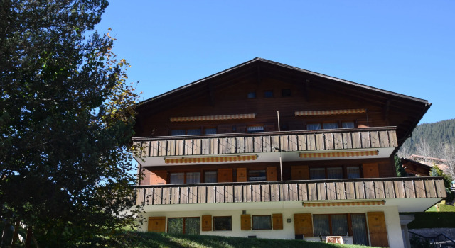 Апартаменты Economy Serviced Apartments   Kirchbühl@home
