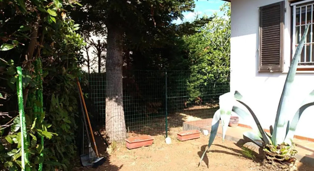Студия Monolocale X 2 a 1,6 Km Da Castiglioncello