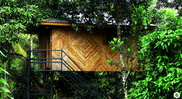 Кровать в общем номере Hiliya Resort - Hostel
