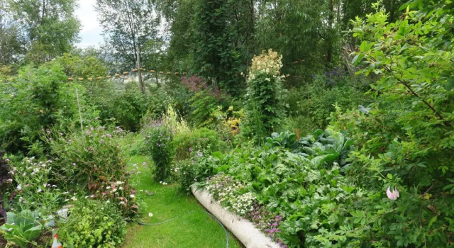 Brigitte's Bavarian Bed und Breakfast