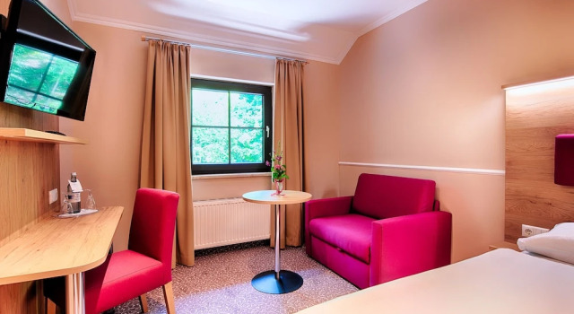 Habitación doble Estándar con vista al parque Seeschloß