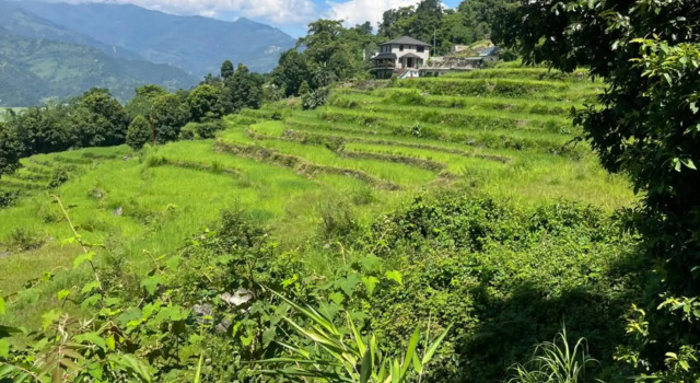 The North Face Inn's Homestay