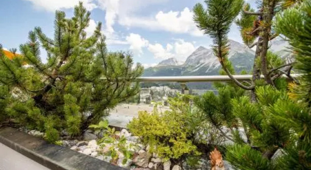 Apartment Lorez D-2, Book Apartment Arosa Grisons