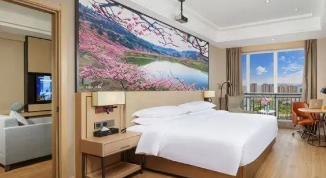 Люкс Deluxe Vienna International Hotel (Chengdu Longquan Automobile City Aviation Academy Branch)
