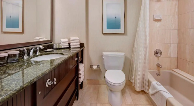 Двухместный люкс Executive Embassy Suites by Hilton San Diego La Jolla