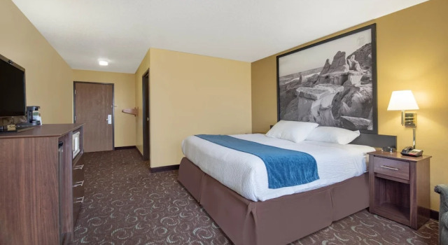 Одноместный номер Standard Four Seasons Inn