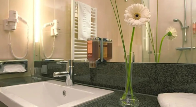 Одноместный номер Business IntercityHotel Mainz